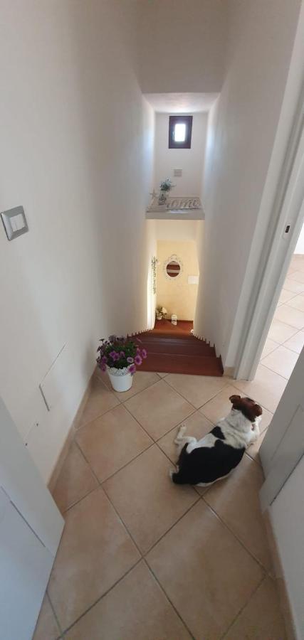 B&B Villa Orchidea Olbia Exterior photo